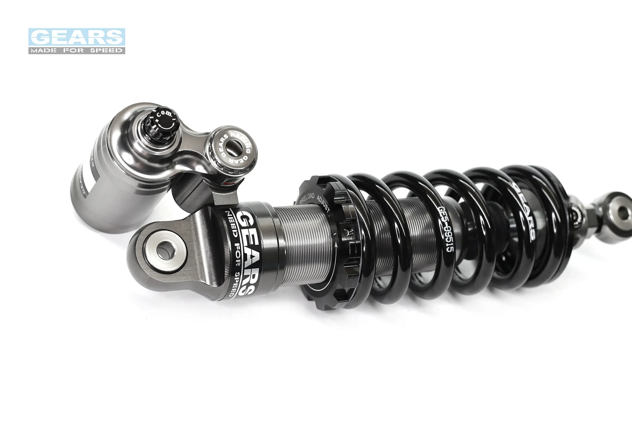 INDIAN FTR1200 H2P Rear Suspension - Image 2
