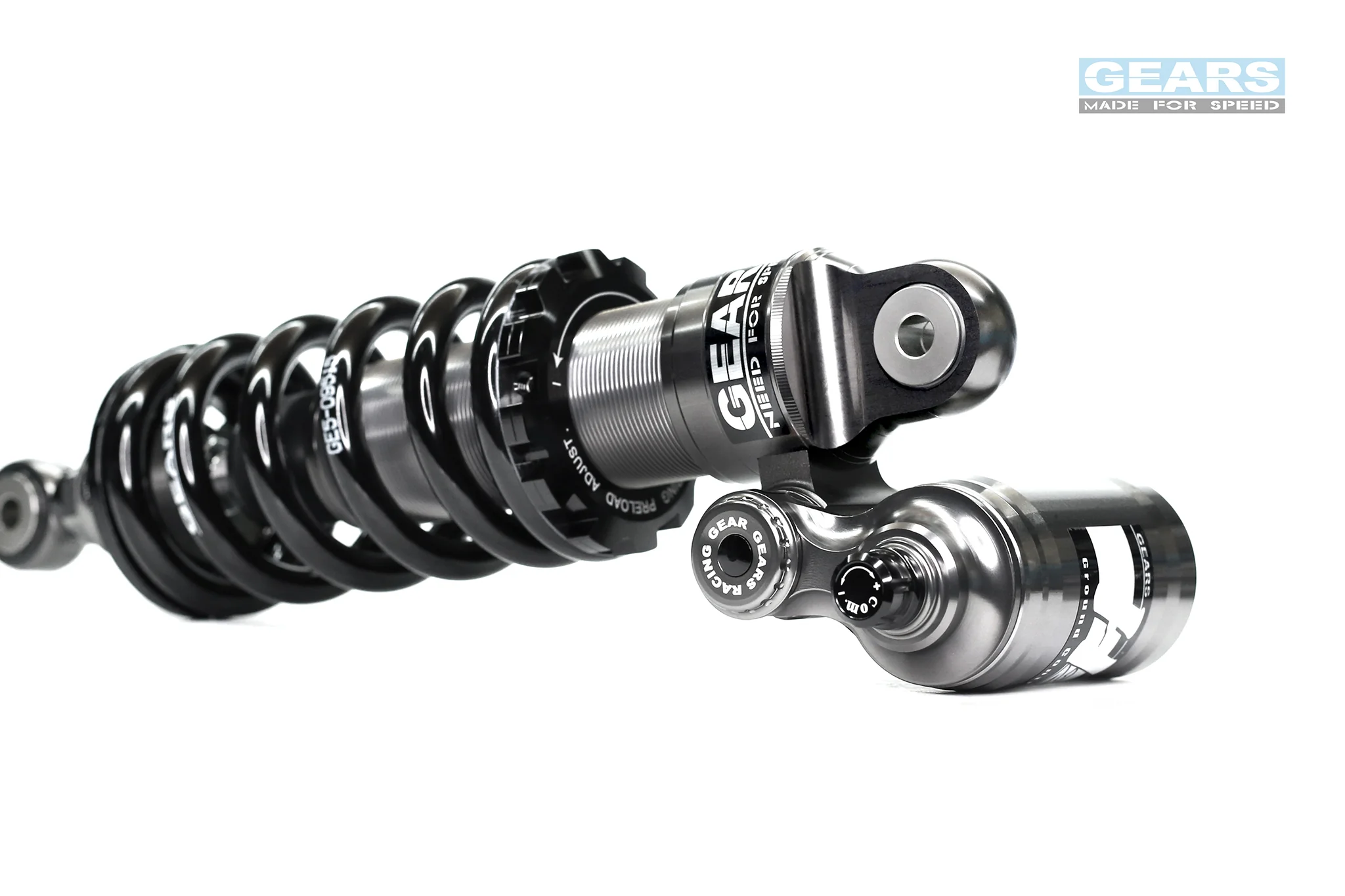 INDIAN FTR1200 H2P Rear Suspension - Image 3