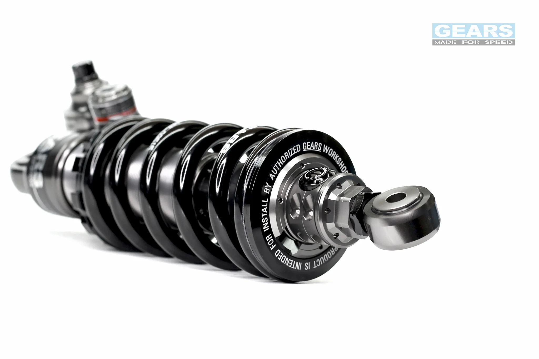 INDIAN FTR1200 H2P Rear Suspension - Image 4